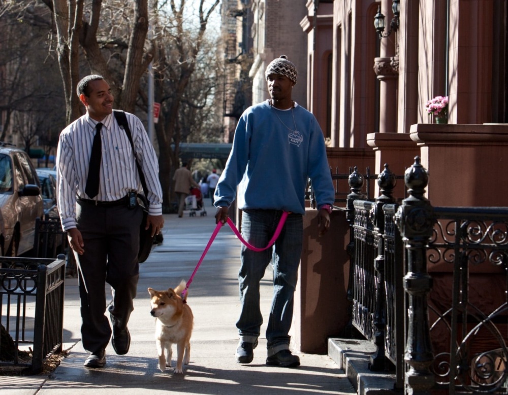 Two men walking a dog in an urban setting